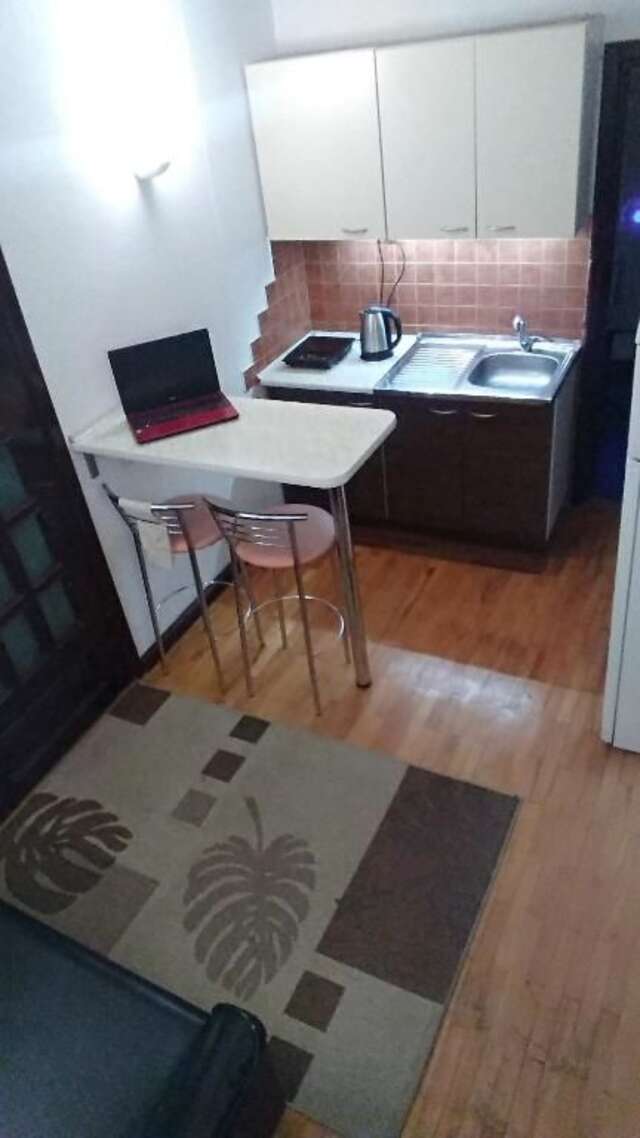 Апартаменты Cozy apart in Lviv center Львов-19